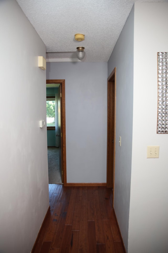 3930 99th Ave NE, Blaine, MN 55014 - hallway with dark wood finished floors and a textured ceiling