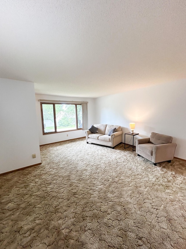 428 16th St, Windom, MN 56101 - carpeted living room with baseboards and a textured ceiling