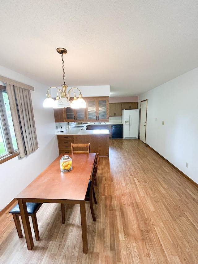 428 16th St, Windom, MN 56101 - dining room featuring light wood-type flooring, a chandelier, and a textured ceiling
