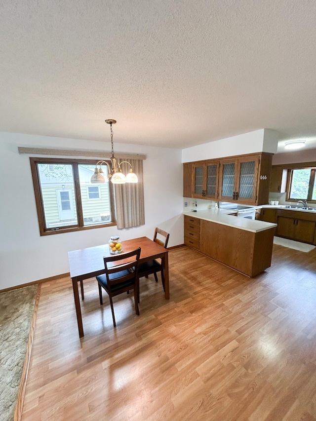 428 16th St, Windom, MN 56101 - dining area with a textured ceiling, a chandelier, and light wood-style flooring
