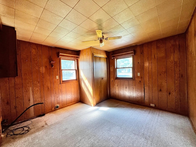 290 5th Ave, Granite Falls, MN 56241 - carpeted spare room with healthy amount of natural light, wooden walls, and ceiling fan