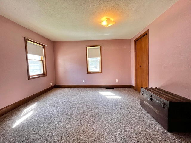 290 5th Ave, Granite Falls, MN 56241 - empty room with healthy amount of natural light, carpet, and a textured ceiling