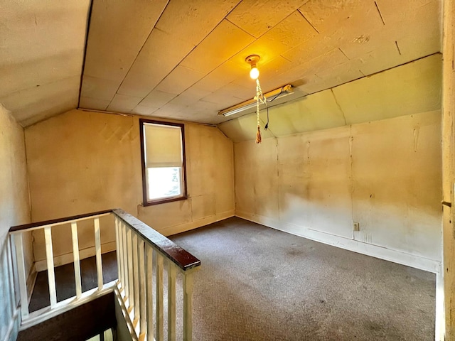 290 5th Ave, Granite Falls, MN 56241 - additional living space featuring vaulted ceiling and carpet flooring