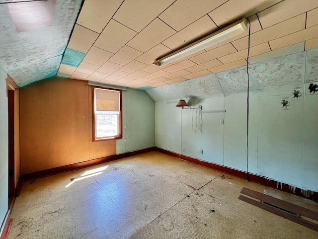290 5th Ave, Granite Falls, MN 56241 - bonus room with vaulted ceiling and baseboards