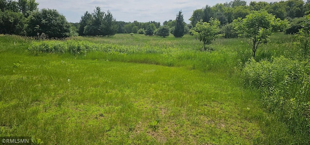 1664 141st Ln NE, Ham Lake, MN 55304 - photo 25