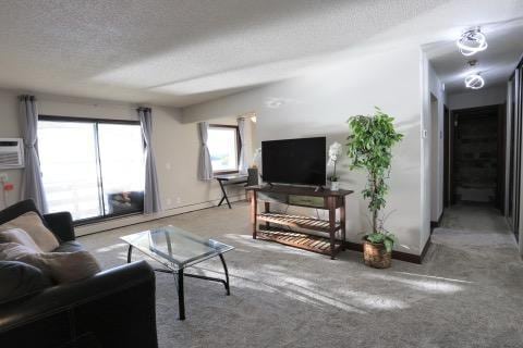 4363 Wilshire Blvd Unit 302, Mound, MN 55364 - living area with a textured ceiling, carpet, and a wall mounted air conditioner