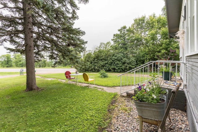 27960 County Highway 88, Carlisle Twp, MN 56537 - view of green lawn