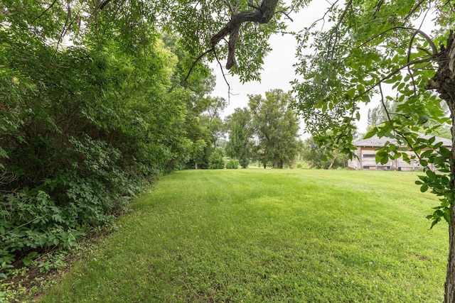 27960 County Highway 88, Carlisle Twp, MN 56537 - view of green lawn