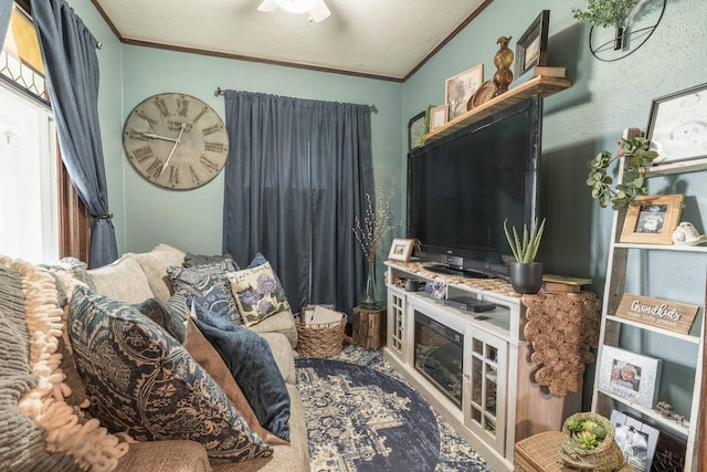 27960 County Highway 88, Carlisle Twp, MN 56537 - living area with ornamental molding and a ceiling fan
