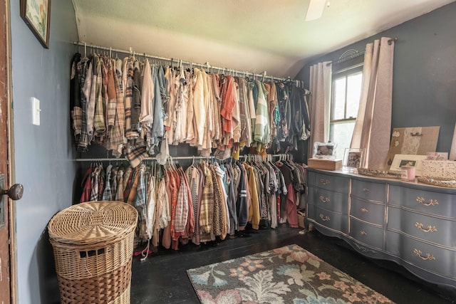 27960 County Highway 88, Carlisle Twp, MN 56537 - walk in closet with lofted ceiling