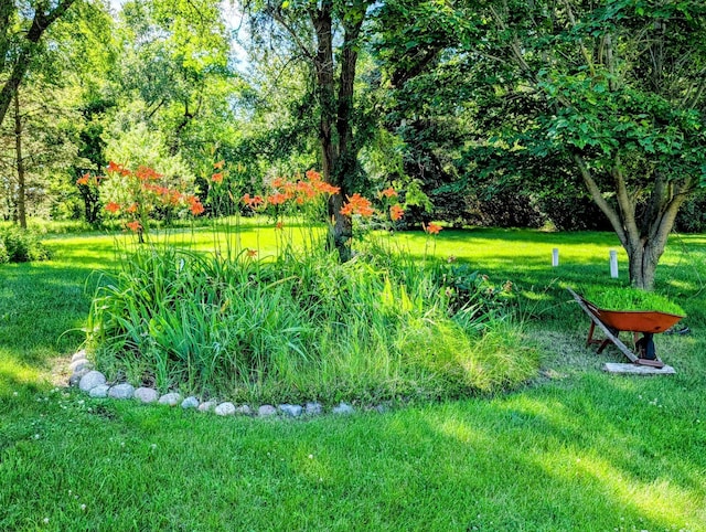 18467 County Road 21, Glenwood Twp, MN 56334 - view of grassy yard