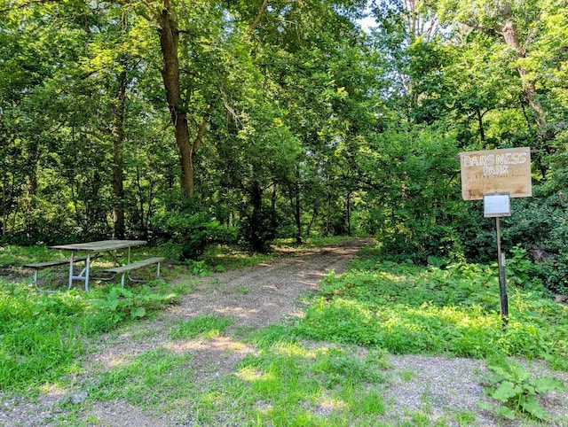 18467 County Road 21, Glenwood Twp, MN 56334 - view of dirt / gravel road featuring a forest view