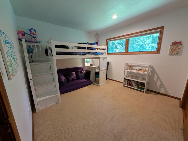 1012 James Ct, Mendota Heights, MN 55118 - photo 12