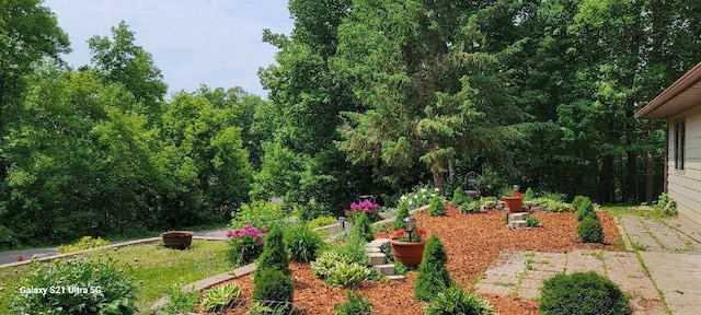 2040 Summit Dr, Cushing, MN 56443 - view of yard