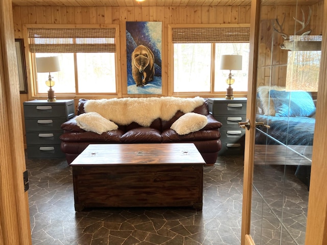 2040 Summit Dr, Cushing, MN 56443 - living room featuring stone flooring and wood walls