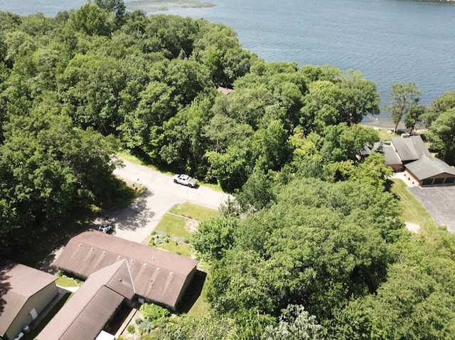 2040 Summit Dr, Cushing, MN 56443 - bird's eye view of a nearby body of water and a forest
