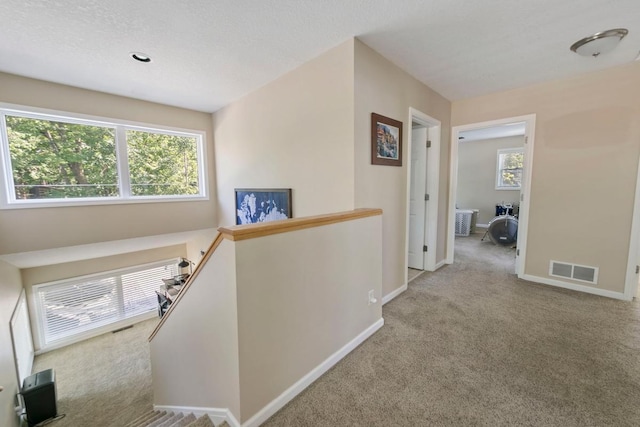 4936 210th St N, Forest Lake, MN 55025 - corridor featuring an upstairs landing and carpet flooring