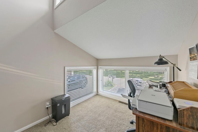4936 210th St N, Forest Lake, MN 55025 - office space featuring carpet flooring and high vaulted ceiling