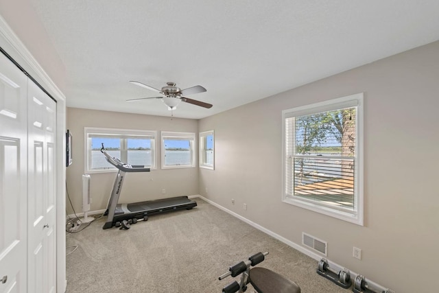 4936 210th St N, Forest Lake, MN 55025 - workout room with a water view, carpet flooring, and ceiling fan