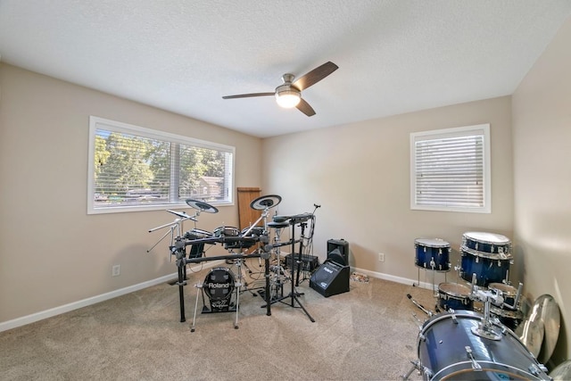4936 210th St N, Forest Lake, MN 55025 - workout room with ceiling fan, carpet floors, and a textured ceiling