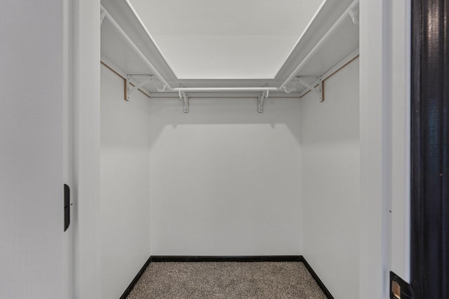 1002 Conway St, Saint Paul, MN 55106 - spacious closet with carpet flooring