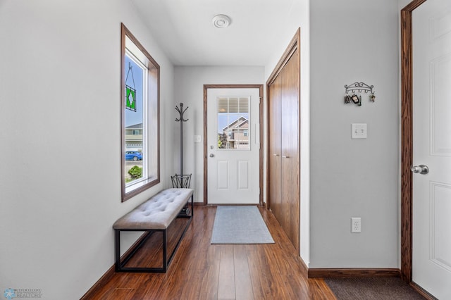 4822 34th Ave S, Fargo, ND 58104 - entrance foyer with plenty of natural light and dark wood-style flooring