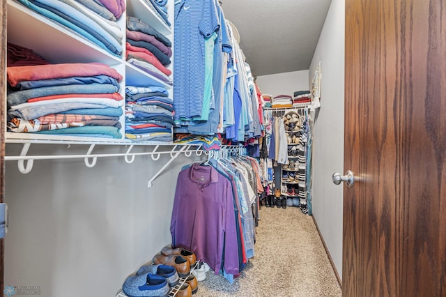 4822 34th Ave S, Fargo, ND 58104 - spacious closet featuring carpet