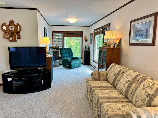 37160 Stocking Dr, Menahga, MN 56464 - photo 17