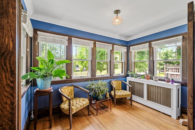 3841 Columbus Ave, Minneapolis, MN 55407 - sunroom / solarium with healthy amount of natural light, radiator heating unit, ornamental molding, and hardwood / wood-style flooring