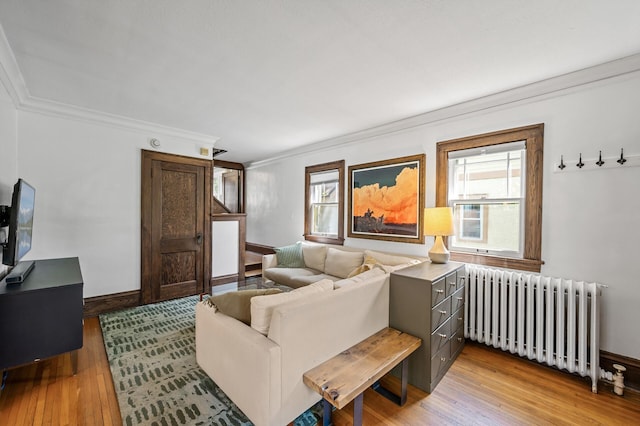 3841 Columbus Ave, Minneapolis, MN 55407 - living area with radiator heating unit, ornamental molding, and light wood-style floors