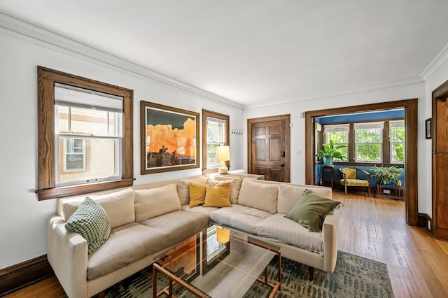 3841 Columbus Ave, Minneapolis, MN 55407 - living area with ornamental molding and hardwood / wood-style floors