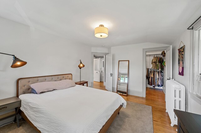 3841 Columbus Ave, Minneapolis, MN 55407 - bedroom with radiator heating unit, a spacious closet, light wood finished floors, and lofted ceiling