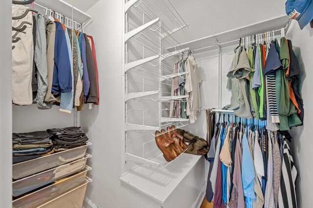 3841 Columbus Ave, Minneapolis, MN 55407 - view of spacious closet