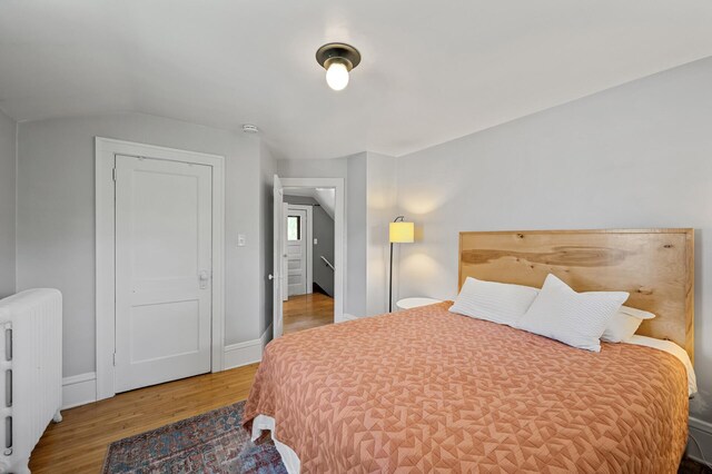 3841 Columbus Ave, Minneapolis, MN 55407 - bedroom with radiator heating unit, wood finished floors, and vaulted ceiling