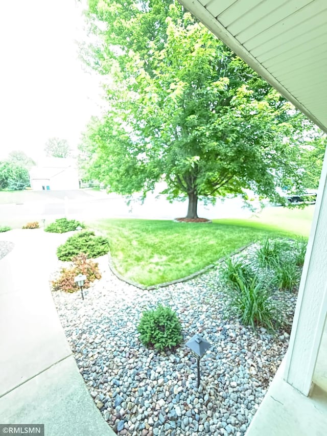 2052 Wilhelm Ct, Shakopee, MN 55379 - view of green lawn
