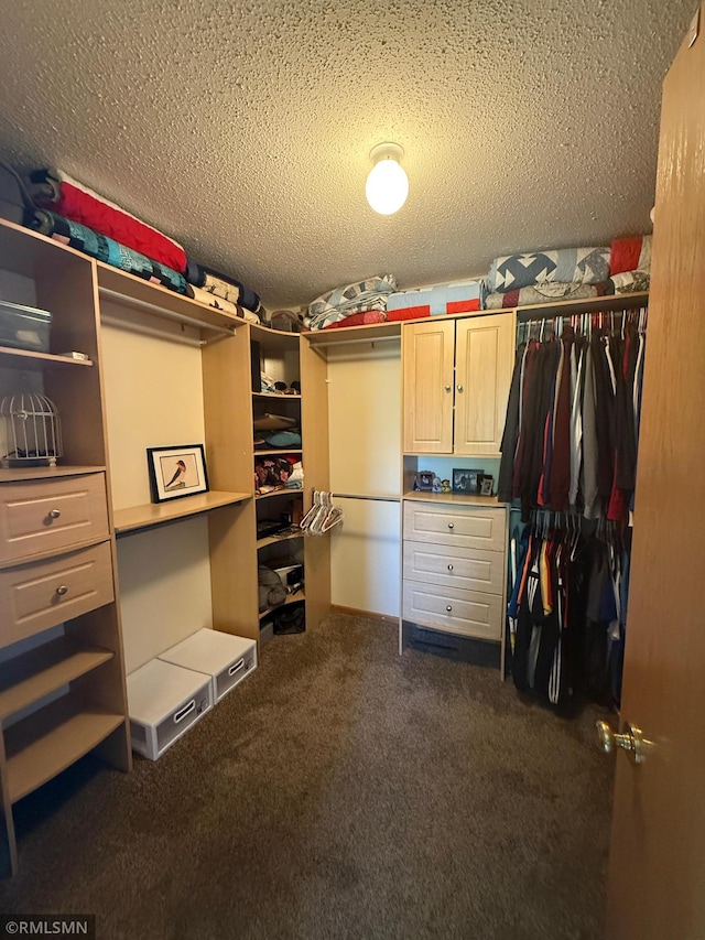 2052 Wilhelm Ct, Shakopee, MN 55379 - walk in closet with dark colored carpet