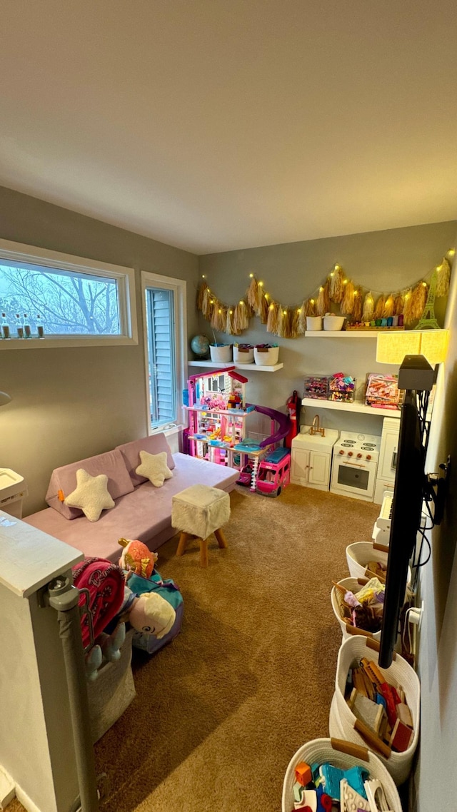 3760 Golden Hills Ter, Eagan, MN 55122 - photo 9