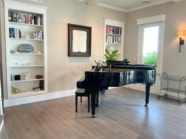 1105 Ferndale Rd W, Orono, MN 55391 - living area with wood finished floors, ornamental molding, and built in features