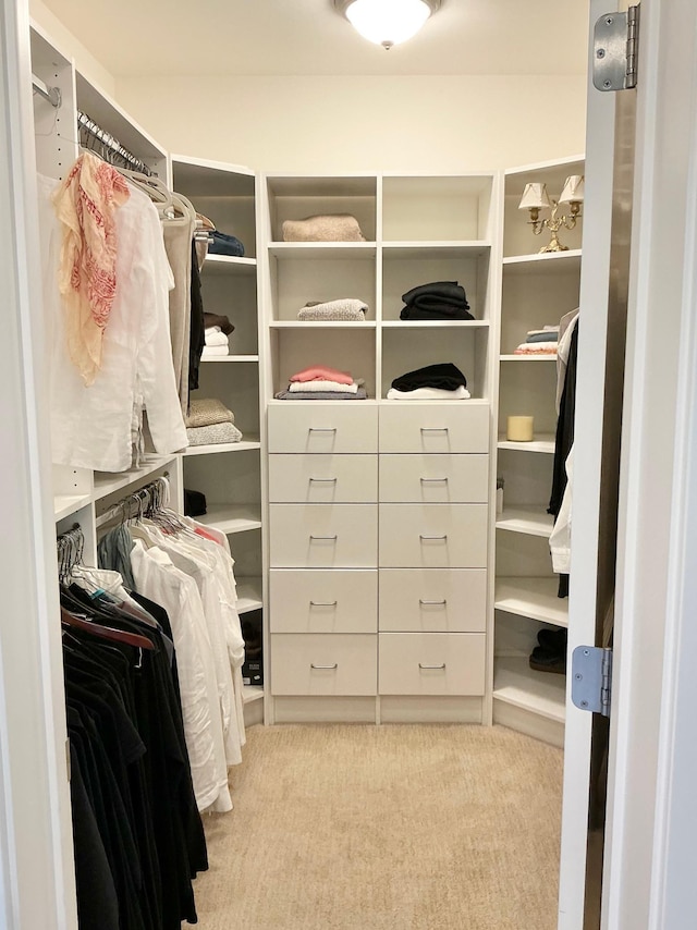 1105 Ferndale Rd W, Orono, MN 55391 - walk in closet featuring carpet floors