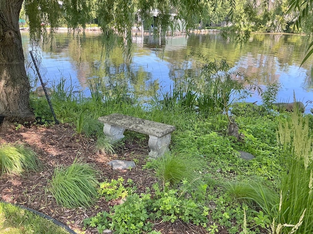 1105 Ferndale Rd W, Orono, MN 55391 - water view