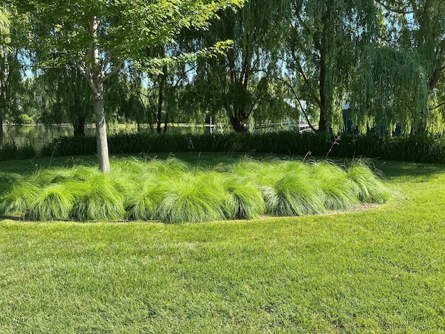 1105 Ferndale Rd W, Orono, MN 55391 - view of green lawn featuring view of wooded area
