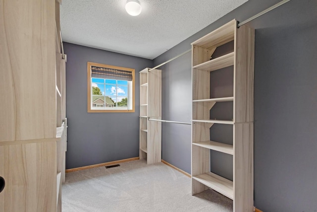 14192 Bayberry Trl, Rosemount, MN 55068 - spacious closet featuring carpet