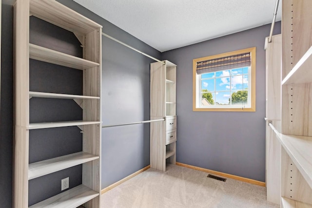 14192 Bayberry Trl, Rosemount, MN 55068 - spacious closet with carpet