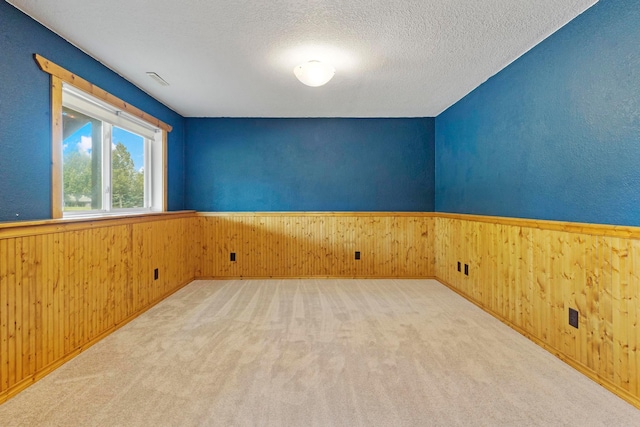 14192 Bayberry Trl, Rosemount, MN 55068 - carpeted spare room with wainscoting, wood walls, and a textured ceiling