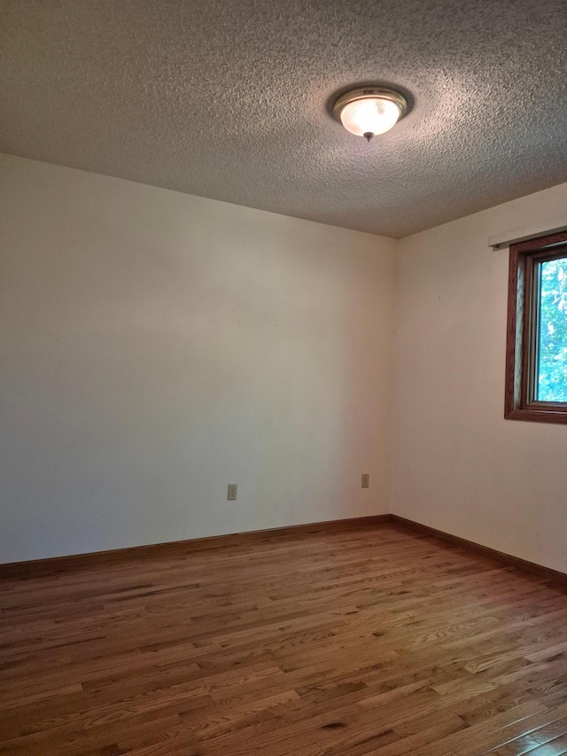207 14th St N, Sartell, MN 56377 - photo 15