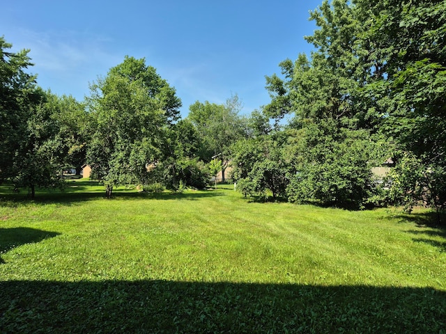 207 14th St N, Sartell, MN 56377 - photo 33