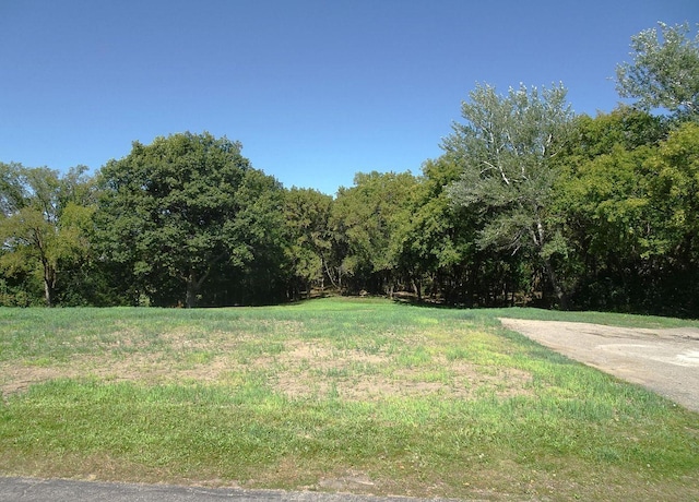 5990 Painter Rd, Minnetrista, MN 55364 - view of yard with a forest view