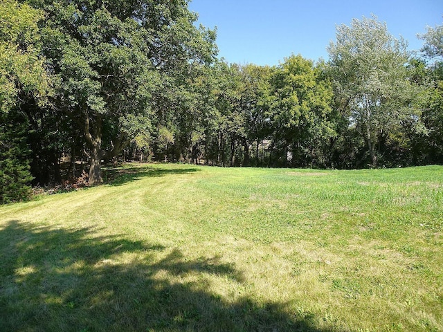 5990 Painter Rd, Minnetrista, MN 55364 - view of green lawn with a forest view
