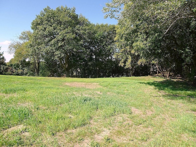 5990 Painter Rd, Minnetrista, MN 55364 - view of yard