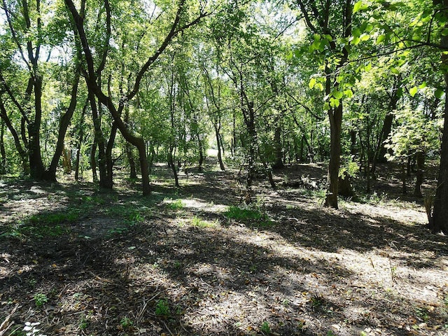 5990 Painter Rd, Minnetrista, MN 55364 - view of tree filled area